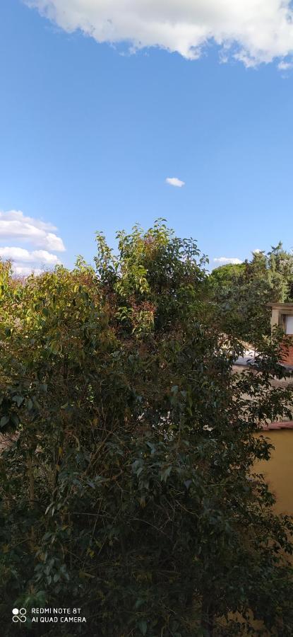 Apartament Desiderio Piza Zewnętrze zdjęcie